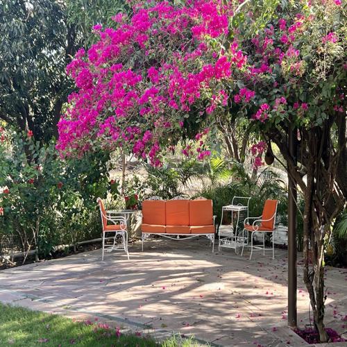 The Studio Cottage Rizwan Bagh The Studio Cottage Rizwan Bagh